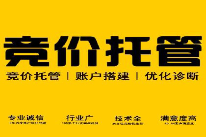 行业领先企业的SEM优化之路